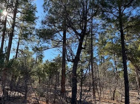 1311 W Snow Creek Trl, Show Low, AZ 85901