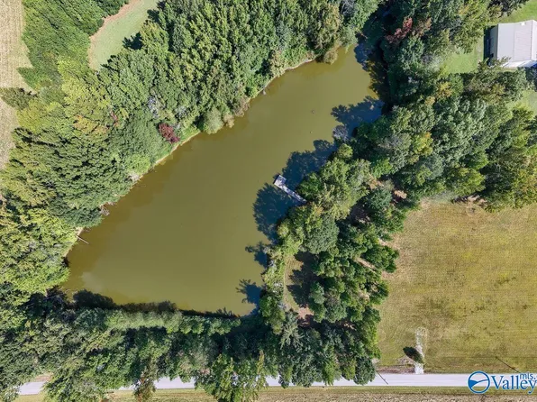 2253 Bobo Section Rd, Hazel Green, AL 35750