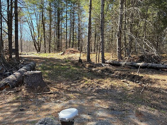3rd image of LOT 4 Leveque Rd