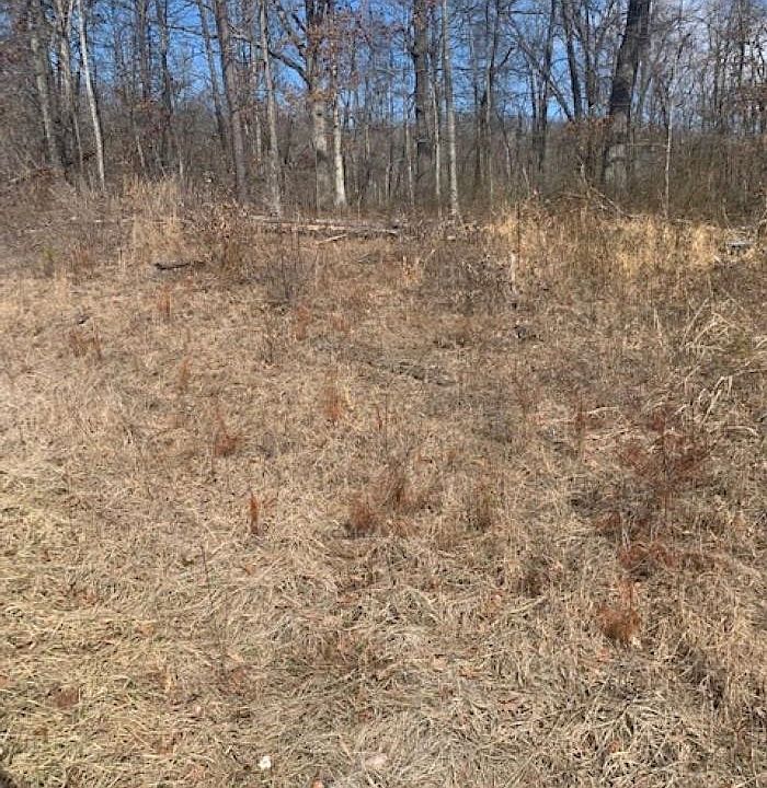 2nd image of Graydon Dr
