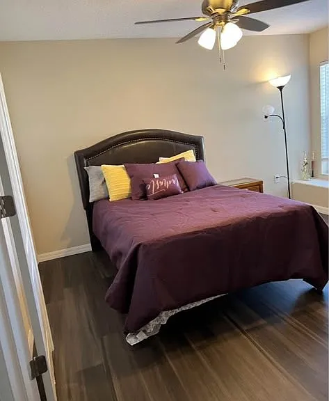 4137 Shade Tree Ln — Photo 1