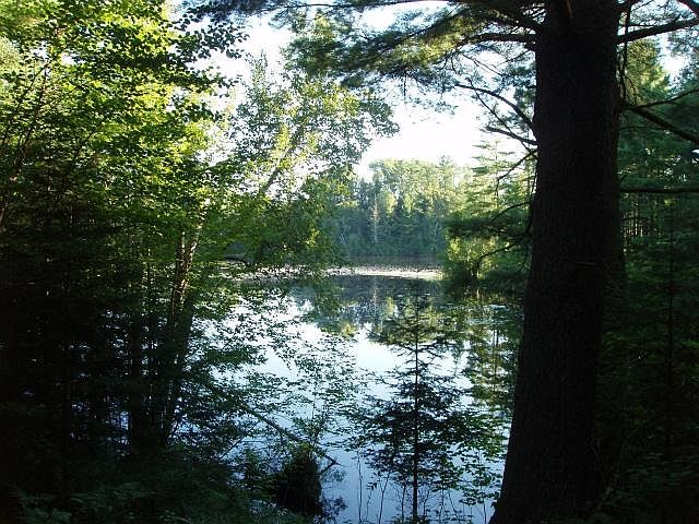 1st image of ON Pixley Wilderness Shrs