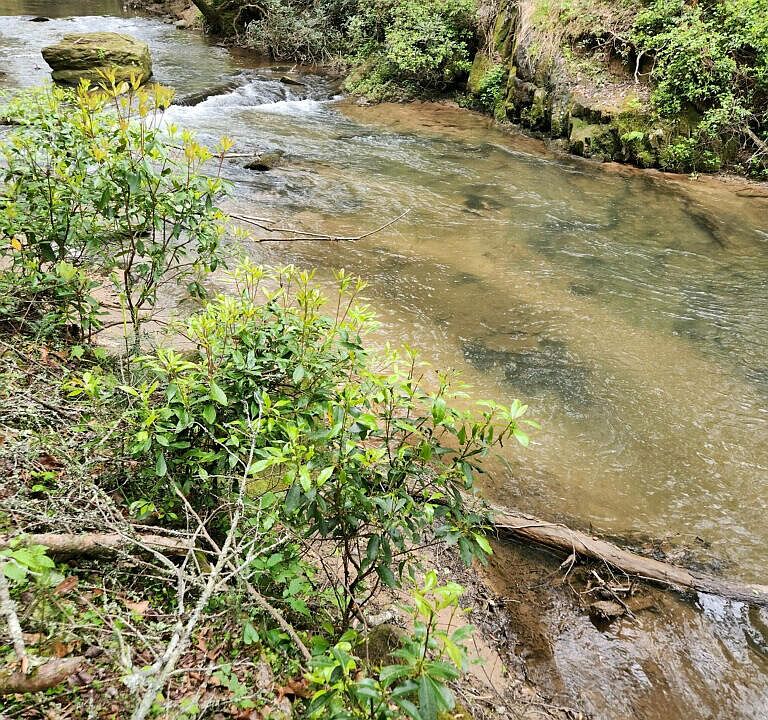 1st image of 0 Mill Creek Trl #35