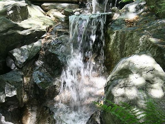 A secluded 20 acre estate