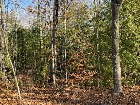 Fireside Hwy, Presque Isle, MI 49777