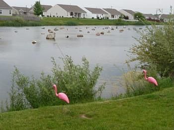 5th image of 5307 Wilmington Cir