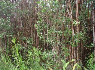 Plumeria St LOT 6629, Mountain View, HI 96771