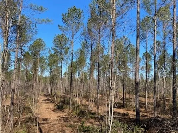 Bee Pond Rd, Ninety Six, SC 29666