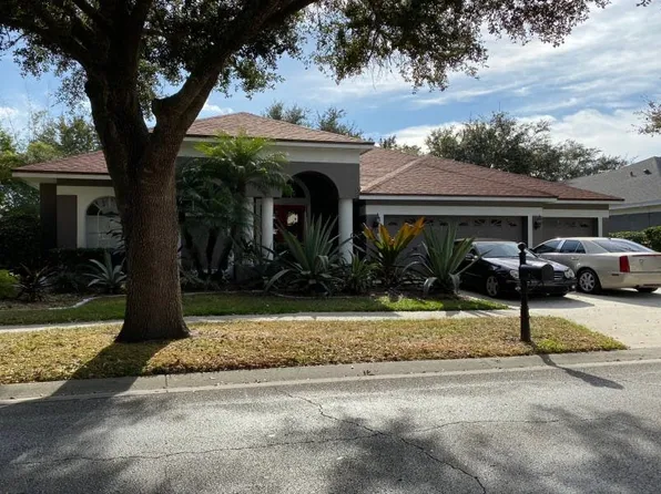 19112 Autumn Woods Ave, Tampa, FL 33647