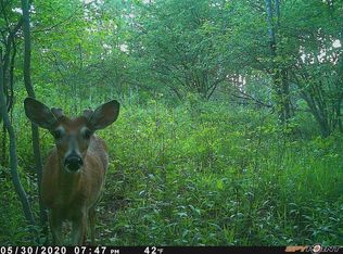 E North County Line Rd, Clare, MI 48617