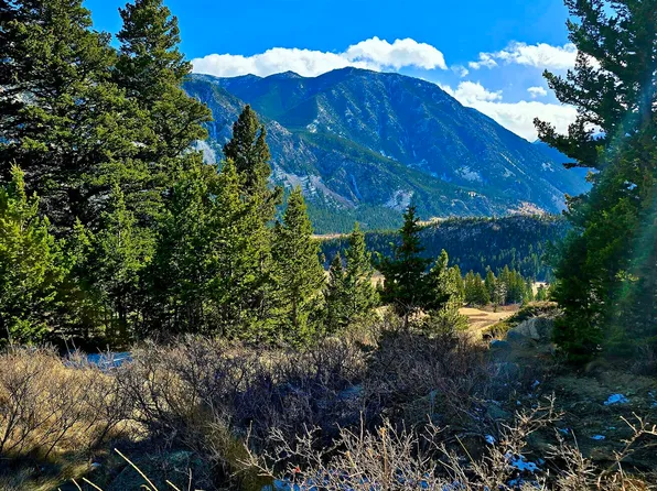 124 Bearpaw Ridge Camp Rd #124, Nye, MT 59061