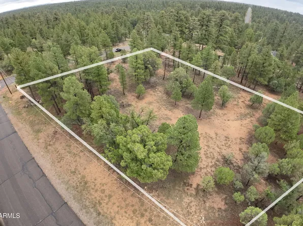4199 STARLIGHT Drive #613, Happy Jack, AZ 86024