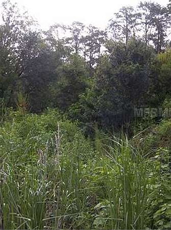 1st image of 7505 Brentwood Dr