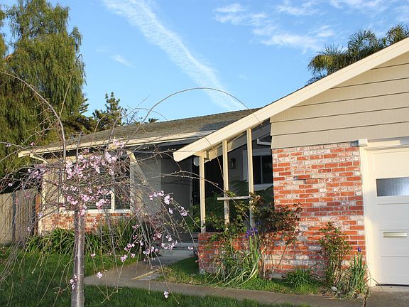 spring is finally here