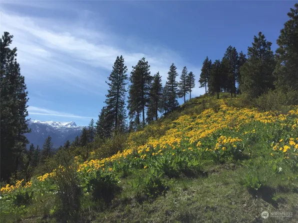 1405 Juneberry Lane, Leavenworth, WA 98826