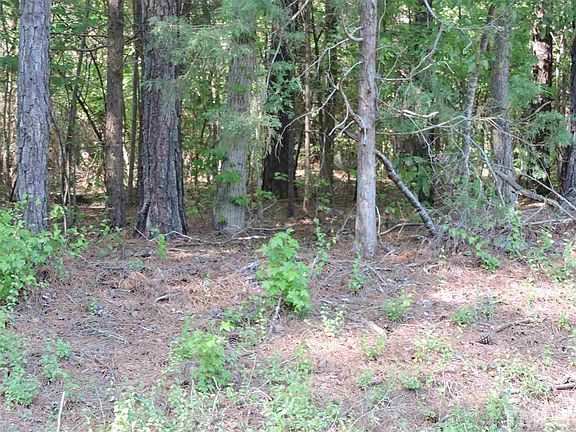 4th image of 101 Ute Ln