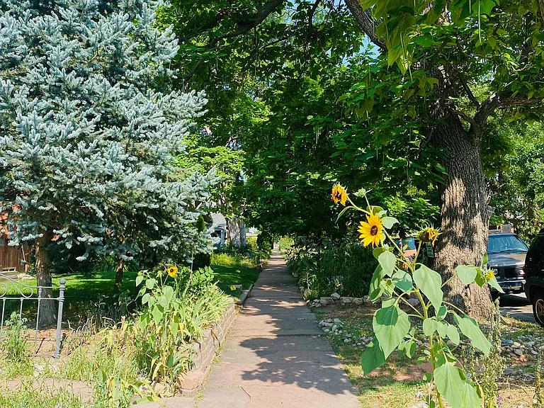83 W Maple Ave — Photo 21