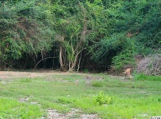 2611 Raymond St, Conway, SC 29526