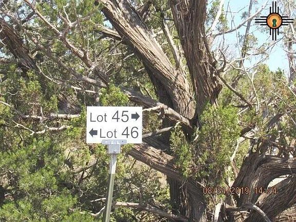 2nd image of 45 Bull Canyon Loop