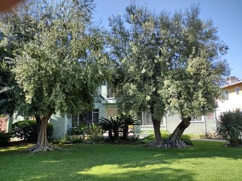 1st image of 743 Arcadia Ave Unit 3