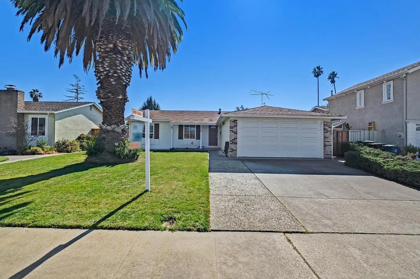 34841 Begonia St photo 1