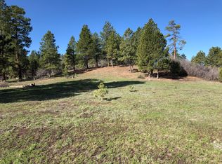 549 Hatcher Cir, Pagosa Springs, CO 81147
