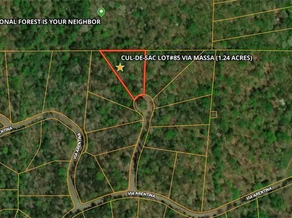 85 Via Massa, Dahlonega, GA 30533