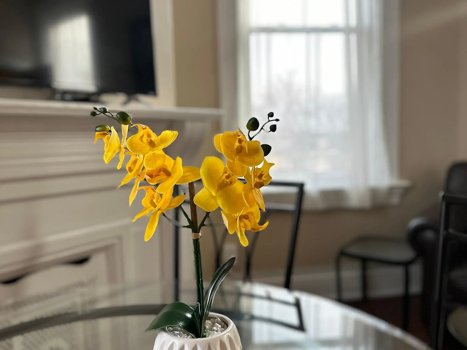 3 bed, 1100 sqft, $999 — Photo 3