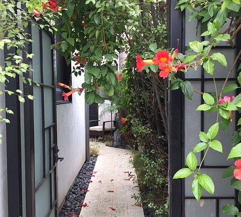 Side Entrance