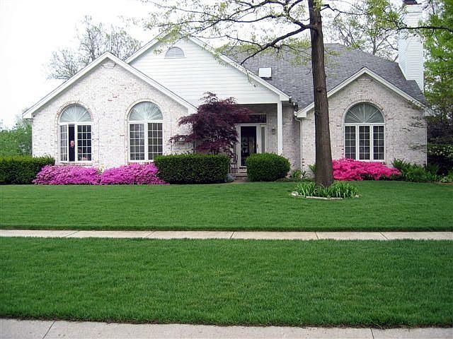 Front of house