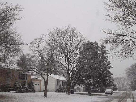 3rd image of 4 Loxley Dr