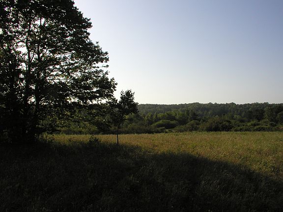 4th image of L23 Watering Hole Dr