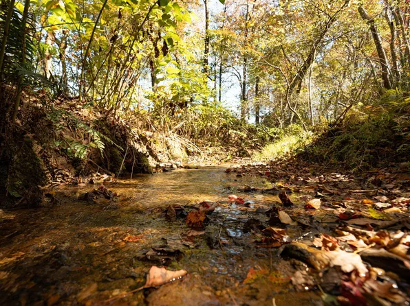 227 McAllister Rd, Copperhill, TN 37317