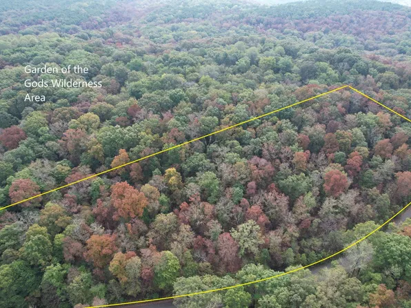 0 Gape Hollow Rd, Herod, IL 62947