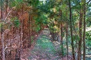 4th image of 709 Birdie Rd #Cd
