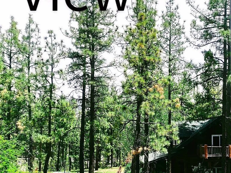 59570 Devils Ladder Rd — Photo 16