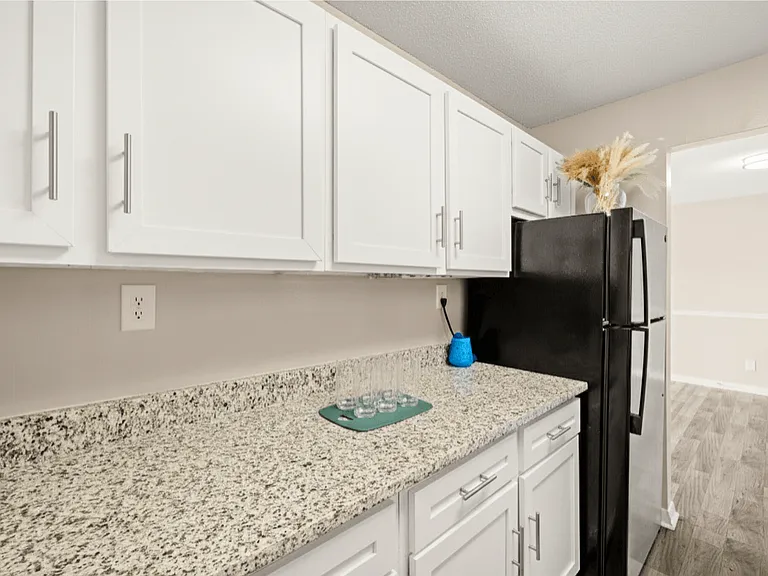 Lakeside Lakeview Apartments — Photo 23