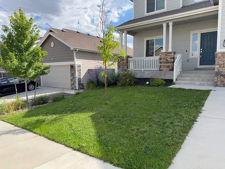 10578 Rolling Peaks Dr — Photo 7