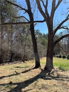 465 Throckmorton Rd, Madison, NC, 27025
