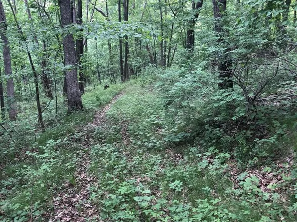 Lot0 CHARLIES LANE, Coon Valley, WI 54623