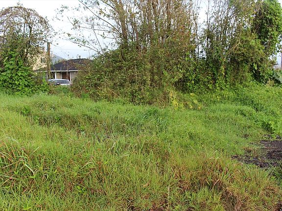 4th image of 64-262 Mamalahoa Hwy Lot 6
