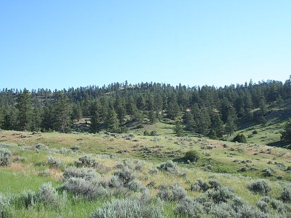 2nd image of Lot 6 Bridle Canyon