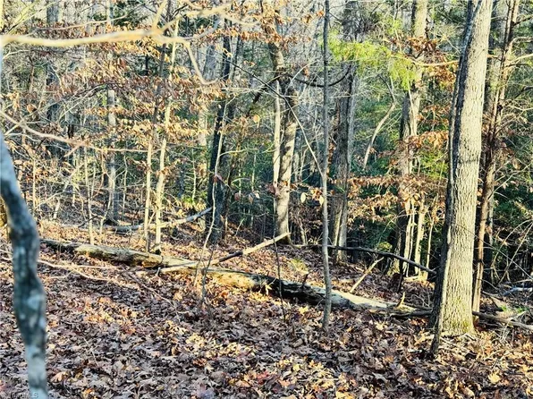 0 Fred Lineberry Rd, Randleman, NC 27317