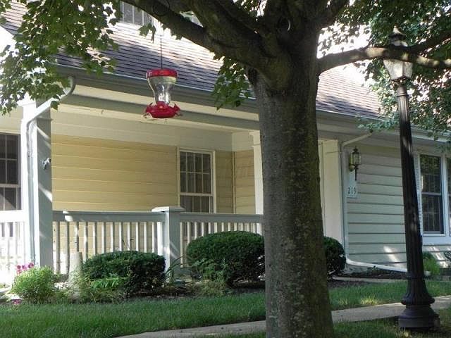 1st image of 219 Shannon Ln