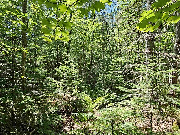 4th image of PARCEL M22 River Trails Rd