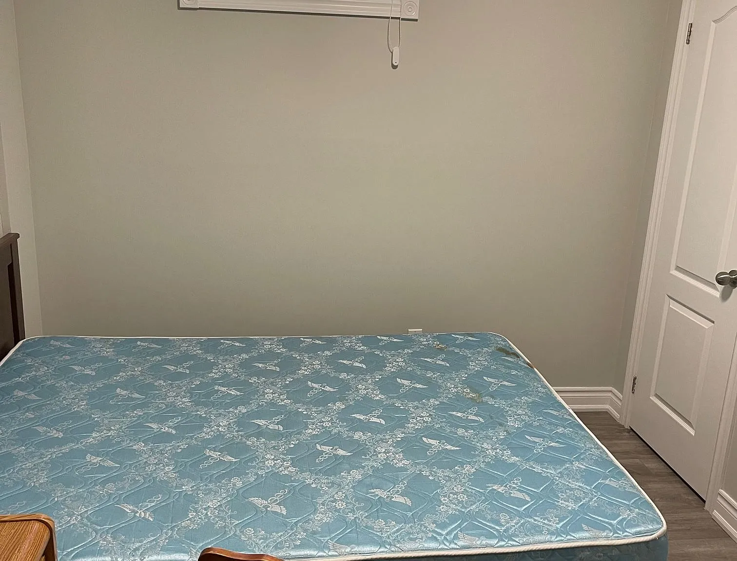 1 bed, $2,600 — Photo 3
