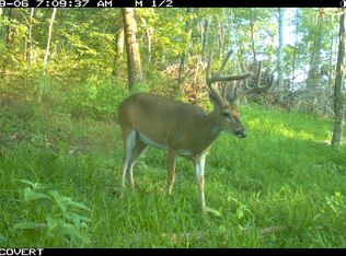 4250 Crofton Fruithill Rd LOT WP001, Crofton, KY 42217