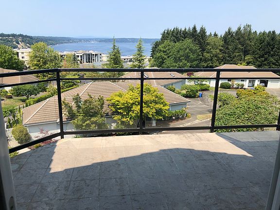 Patio and View from Living Room Slider