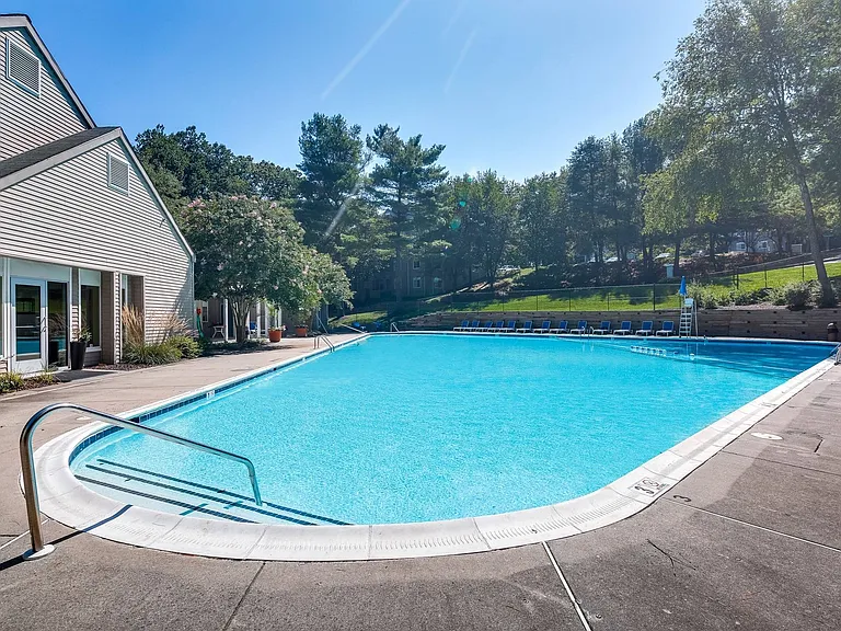 Olympic-sized Swimming Pool