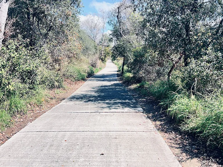 8043 Caminito De Pizza #B — Photo 8